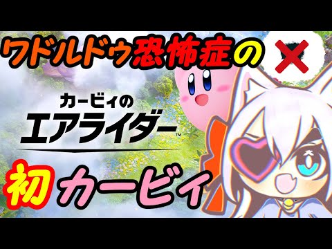 【視聴者参加型】ワドルドゥ怖いけどカービィのエアライダーやる！019【VTuber】