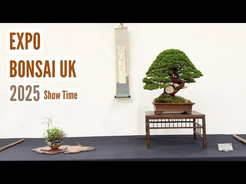 Expo Bonsai UK 2025 Show Time