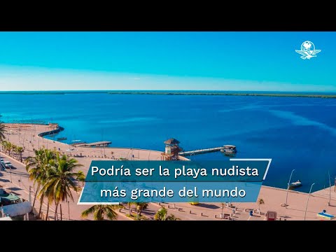 Diputado local de Morena propone abrir playa nudista en Sinaloa