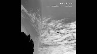 Exuviae — Chasing Reflections