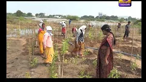 Mahatma Gandhi National Rural Employment Guarantee Scheme - Rajanna Sircilla District Story