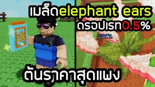 5000โรบัค ตามล่าเมล็ดใหม่ elephant ears สุดแพง Grow a Garden