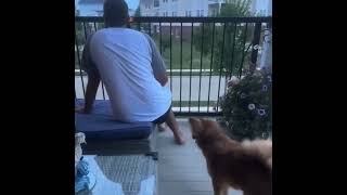Dog Bites Man’s Butt @prof-3
