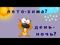 От чего могут болеть домашнии питомцы?