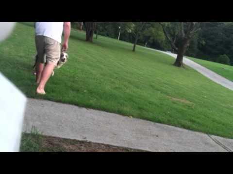 Pinky frisbee - YouTube