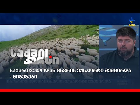 საქართველოდან ცხვრის ექსპორტი შემცირდა - მიზეზები