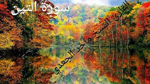 سورة التين الأستاذ/ ماجد الجعدي