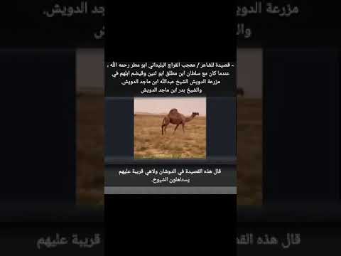 معجب بن فراج السبيعي