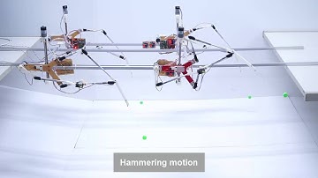 Reconfigurable Klann platform - Testing hammering trajectory