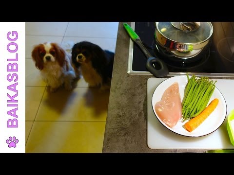 recette-pour-chien---ration-ménagère-du-débutant