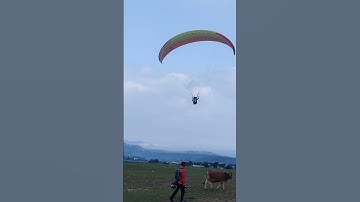 morning view in Bir billing 🍂🪂💞 #paragliding #reactionparagliding #birbiling