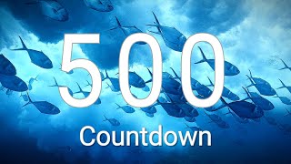 500 Seconds Timer with Alarm Wealth