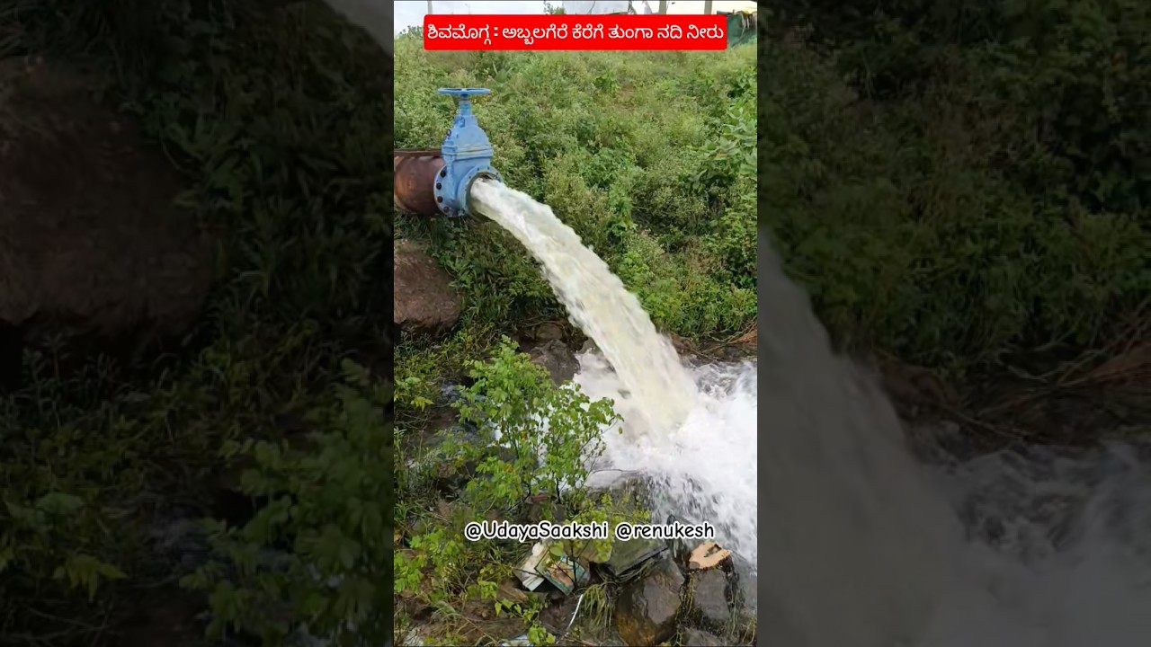 shimoga news | ಶಿವಮೊಗ್ಗ | ಅಬ್ಬಲಗೆರೆ ಗ್ರಾಮದ ಕೆರೆಗೆ ಹರಿದು ಬರುತ್ತಿರುವ ತುಂಗಾ ನದಿ ನೀರು. #shimoga #video