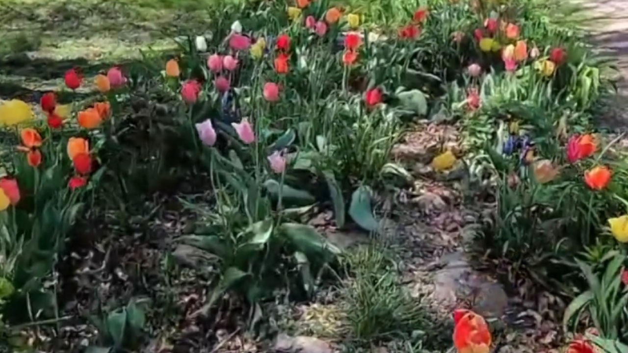 May garden walk