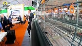 Big Dutchman Zdorovaya Ferma Uralbrojler Kunashak Youtube