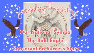 Zoosday Tuesday and the Bald Eagle Protection Act