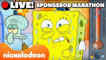 🔴 LIVE: SpongeBob
