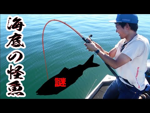 【檸檬♪ページ】 「珀の昇天」　「いつも一緒」　「釣りに行こう！」 檸檬♪ページ】 「珀の昇天」 「いつも一緒」 「釣りに行こう
