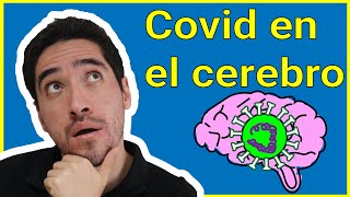 COVID Y EL CEREBRO