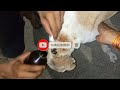 Curing the Street Dog(Tony) 🐕😔🙏//I Hope Recovery as soon#viral #animals #dogrescue #trending