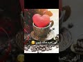 ای دلبر من الهی صد ساله شوی ای دلبر من الهی صد ساله شوی