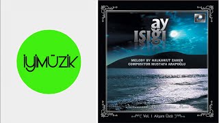 Mustafa Arapoğlu - Yalnızlık (Enstrumental) Resimi