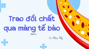 Trao đổi chất qua màng tế bào (Phần 1) - Sinh học 10 - OLM.VN