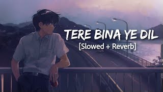 Tere Bina Ye Dil ❤️ Romantic Hindi Song 2025 | Bollywood Romantic Love Song | Heartfelt Hindi Melody