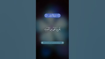 الشيخ عماد المنصري | سورة الروم ١٧ - ١٩