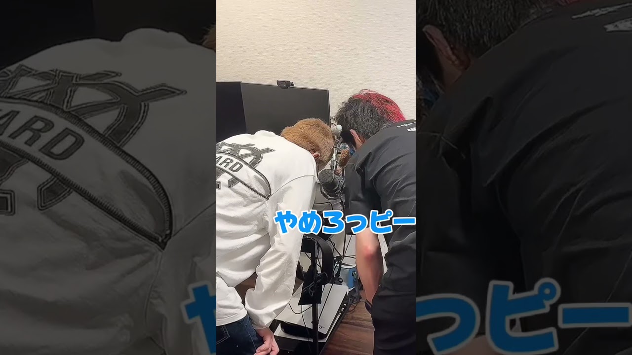 【マメルリハ】オジ達に可愛がられる爽タロー🦜