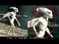 New disturbing trail cam footage grabs global spotlight