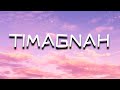 TIMAGNAH- Ikaw in babai malugay ko tiyatagaran (Lyrics)