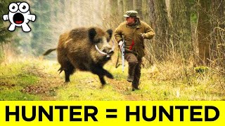 Animals Who Took REVENGE On Humans Animals Who Took REVENGE On Humans
