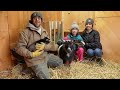 Day in the LIFE on a FARM with a FIRST Time GOAT MOM (Hope our Miniature Goat)