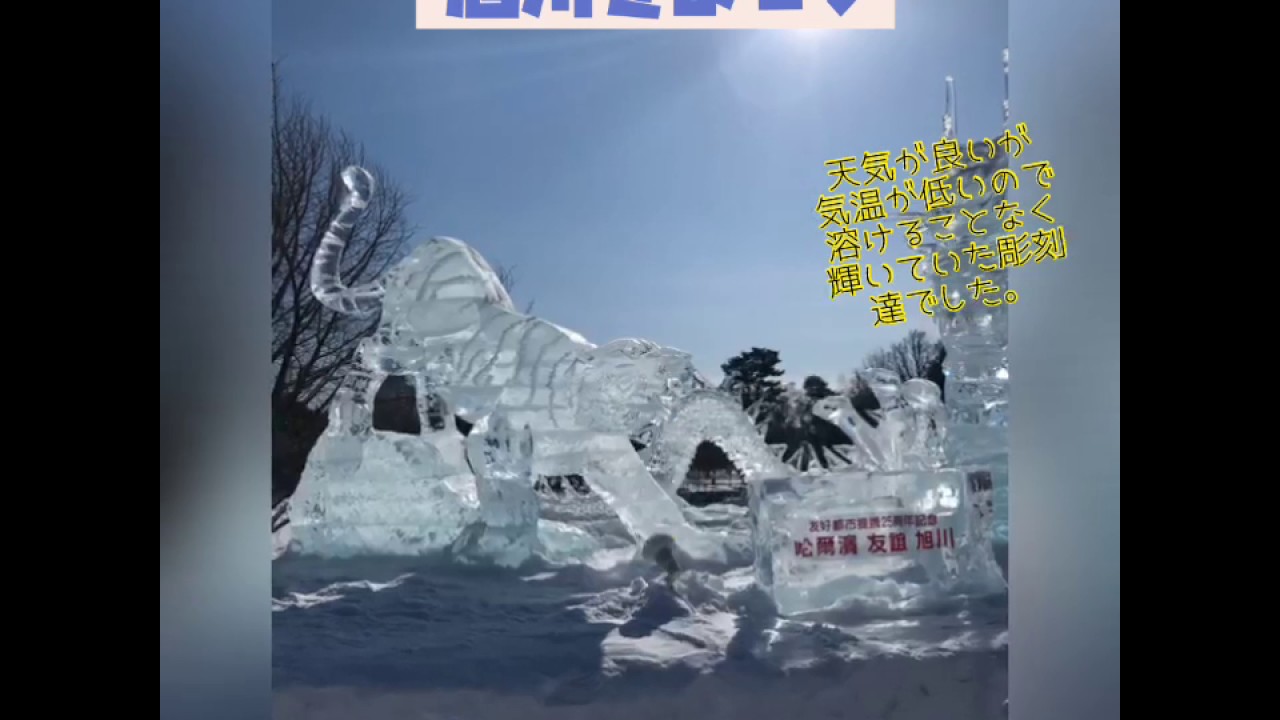 旭川　アレルギー性鼻炎　健康相談　鼻水を出しやすくする薬