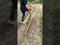 Wooden raft for digging holes in the ground #shorts