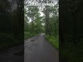 Road is very danger!! #travel #roadtrip #danger #jungle #ytshorts #youtube #youtubeshorts #mountain