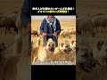 牧羊人が35頭のカンガール犬を集結！ オオカミの群れに反撃開始！のサムネイル