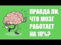 Сколько процентов мозга использует человек на самом деле?