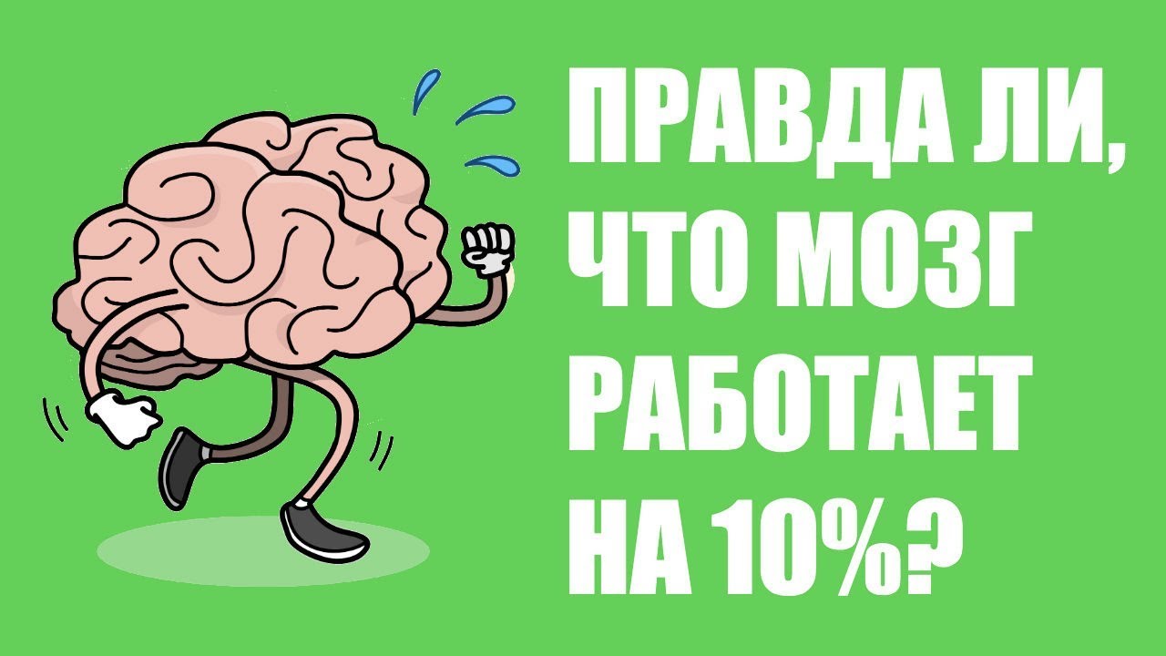 Мозг использует 10. Мозг задействован на 10%. Миф об использовании мозга на 10%. Мозг работает на 10.