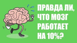 Сколько процентов мозга использует человек на самом деле?