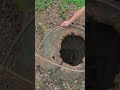 DIY Nature Art: Magical Forest Stump Creation! #shorts