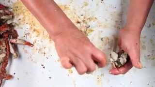 Public Welfare Foundation Grantee Centro De Los Derechos Del Migrante, Inc.