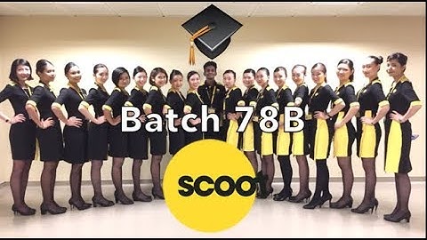 Introducing Scoot Batch 78B!