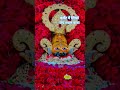 Jack Shyam Baba 214 ram ram