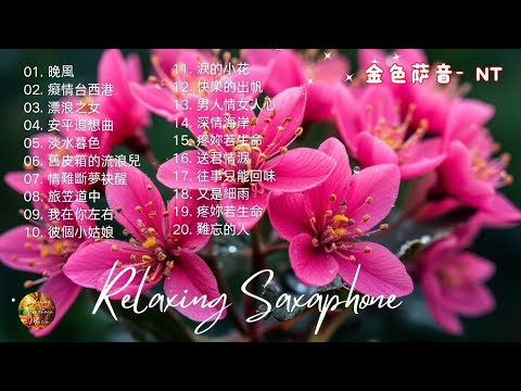 無廣告 太美了 100大最美的華語薩克斯風曲 經典的薩克斯曲目 萨克斯金曲100首老歌