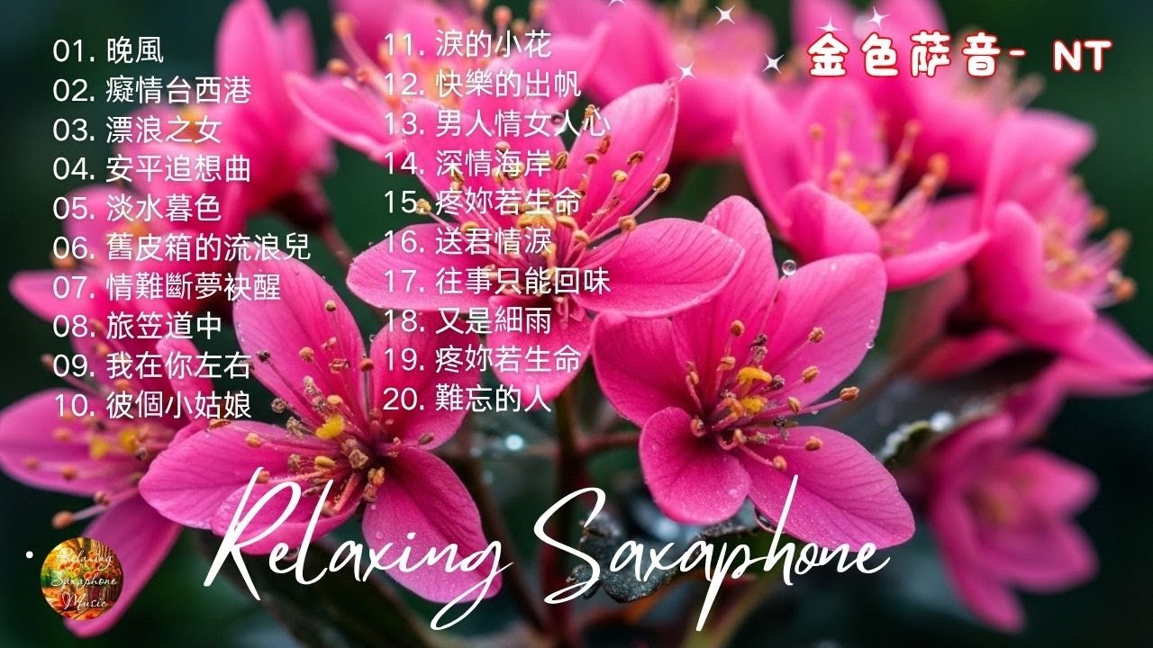 [無廣告] 太美了👍100大最美的華語薩克斯風曲 | 經典的薩克斯曲目 - 萨克斯金曲100首老歌