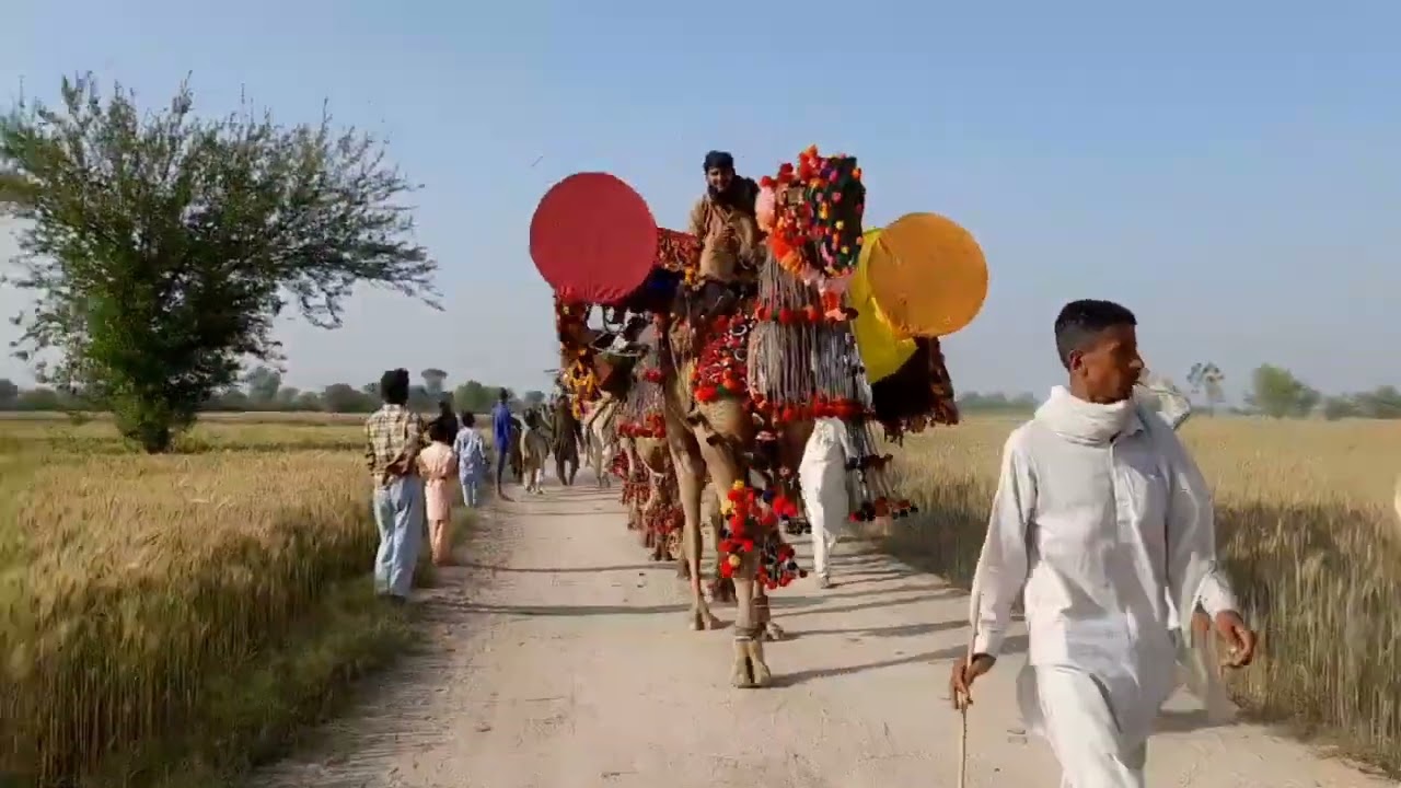 جماعت بابا محمد پناہ سرکار پرانی پنجابی ثقافت