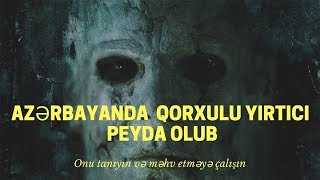 Azərbaycanda Şirdən Betər Yırtıcı Peyda Olub