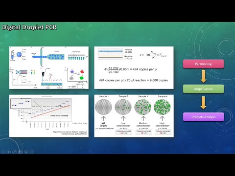 شرح کامل تکنیک Digital Droplet PCR (ddPCR) به زبان فارسی